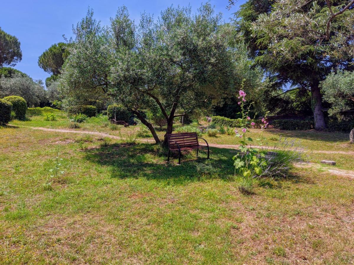 Apartment Rosa 2 Rovinj Eksteriør billede